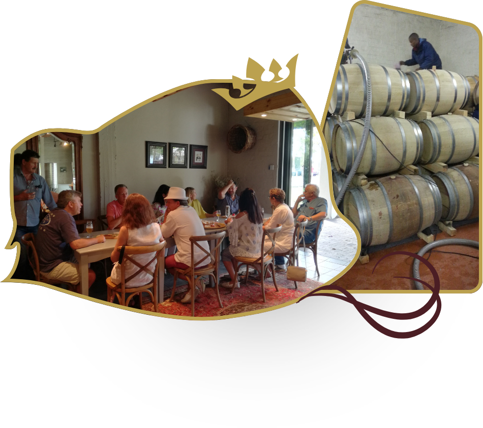 Vin d'Almar History hosting event and wine barrels